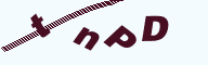 555424